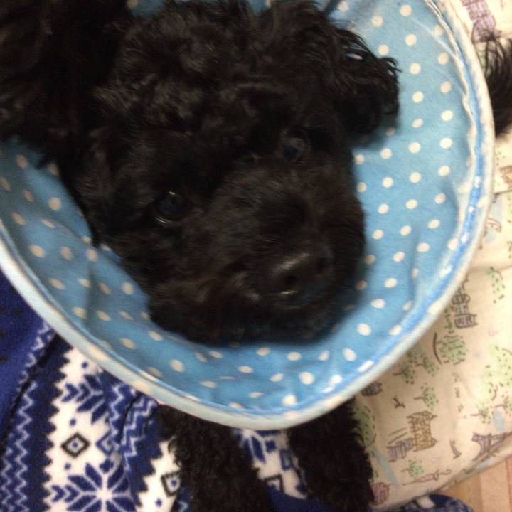 Ee719a41 8d74 4f0f 96b6 8e9b67a4dd8b