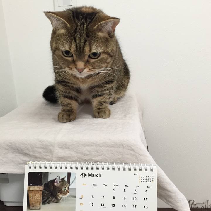 Ee71d392 4393 401a 9287 741be0f60fb2