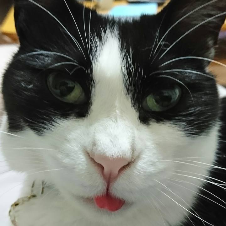 Ee72675d 7680 4cd1 b2b0 c36192227255