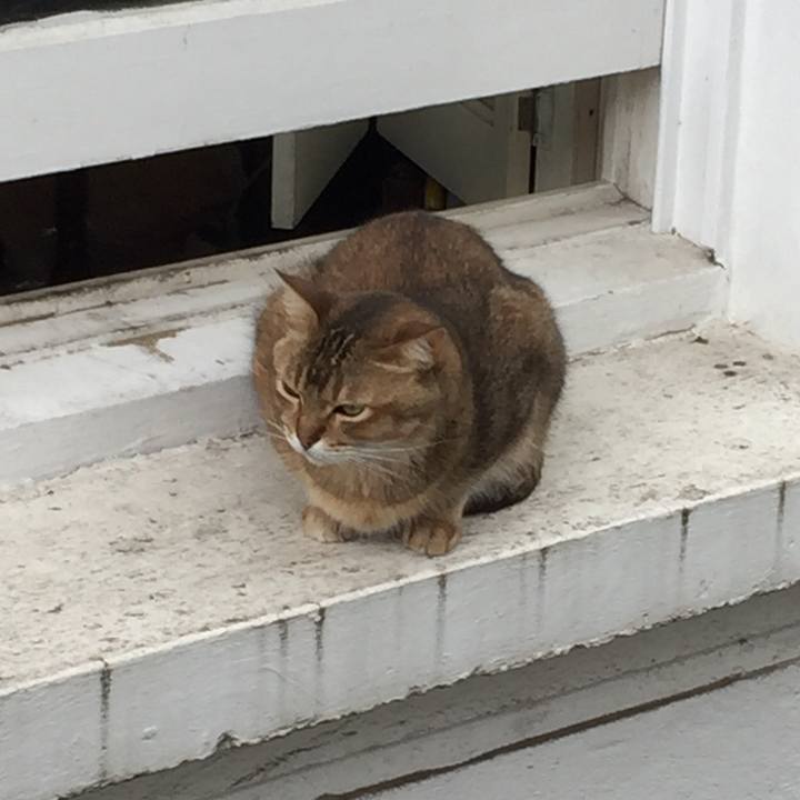 Ee726962 40aa 480f 9709 e3950236a556