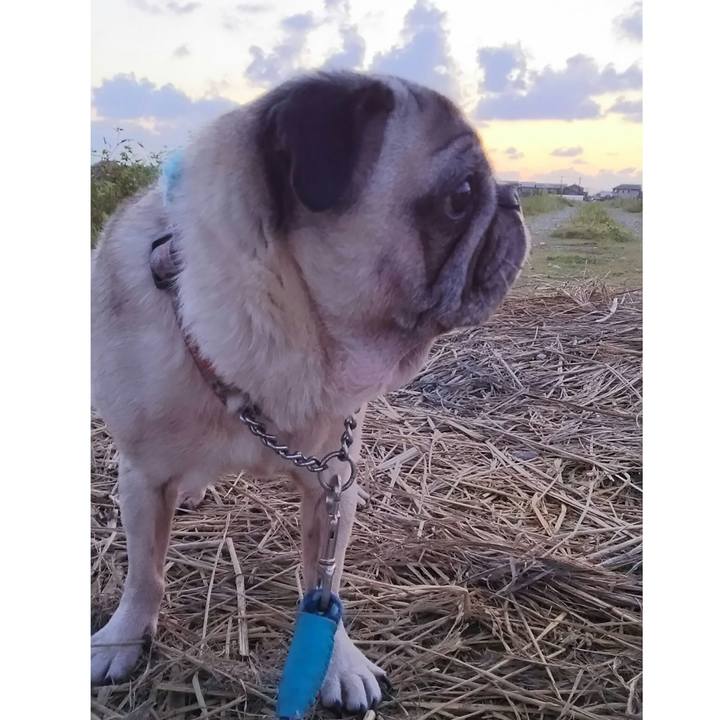 Ee7270d7 96eb 439f 834d 00d0aaa4b903