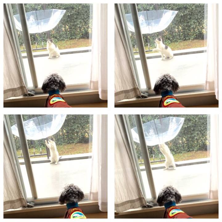 Ee731303 72c7 416b bd98 586f589e548a