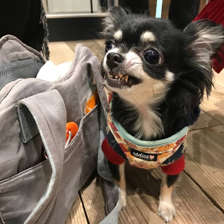 Ee735171 185e 455a afc3 004a6b8d9028