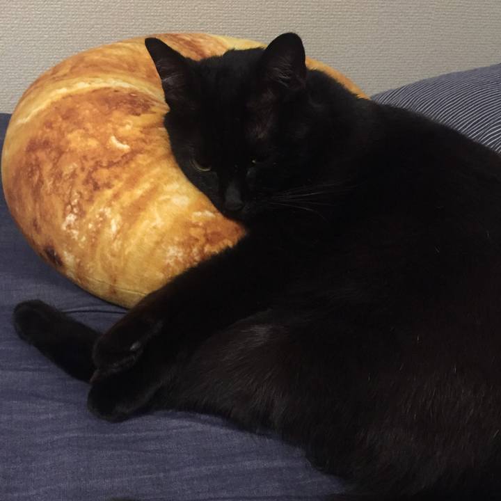 Ee737c6b 5821 4a0a 8870 c2b4e71c3dc0