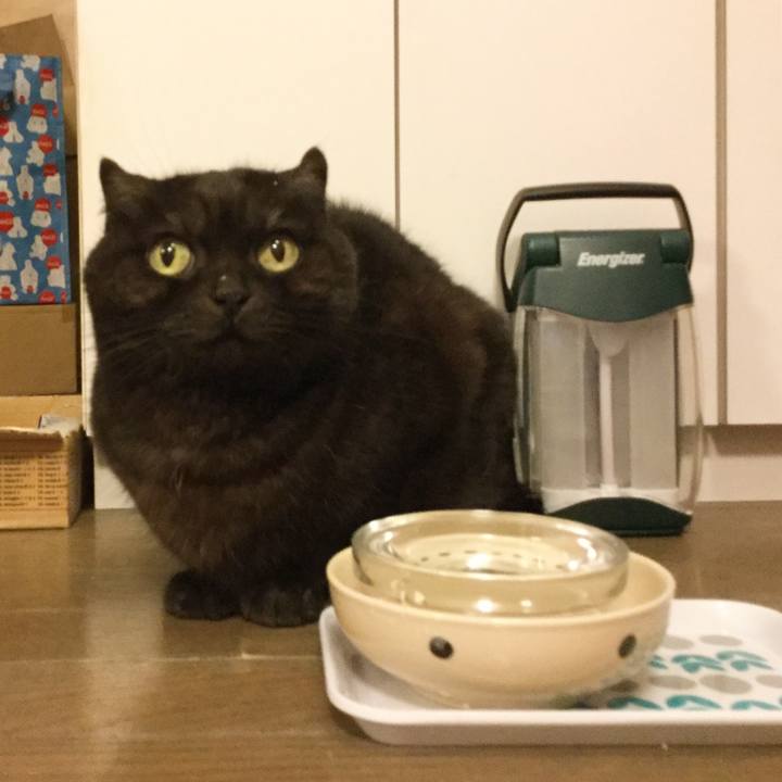 Ee73908c 3945 43f9 8972 a42364172831