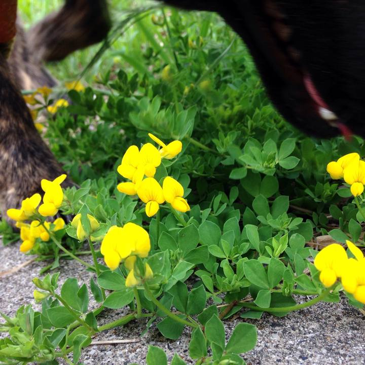 Ee739711 34eb 47e1 a3f5 2540666a2976