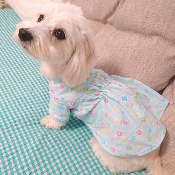 Ee742a46 def0 4de7 b57b 9cd4cad0e021