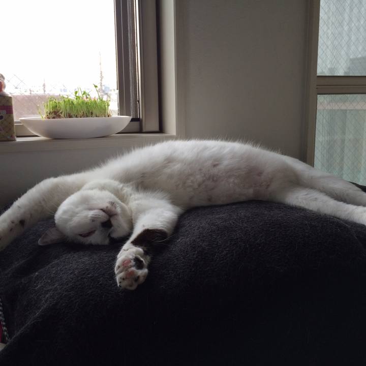 Ee753fa7 1130 4695 b0e2 8a1cdd7efabe