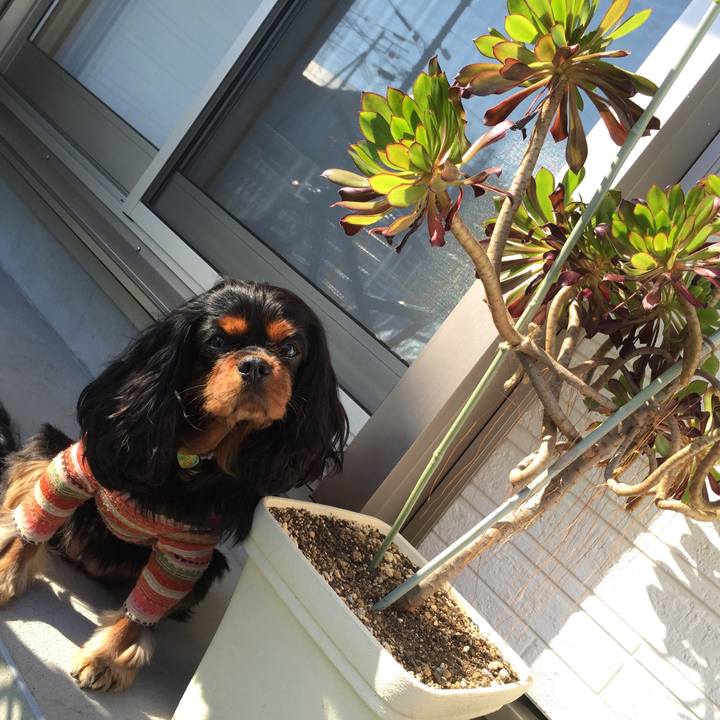 Ee759550 d909 4ad7 a6c5 2f456fce38e3