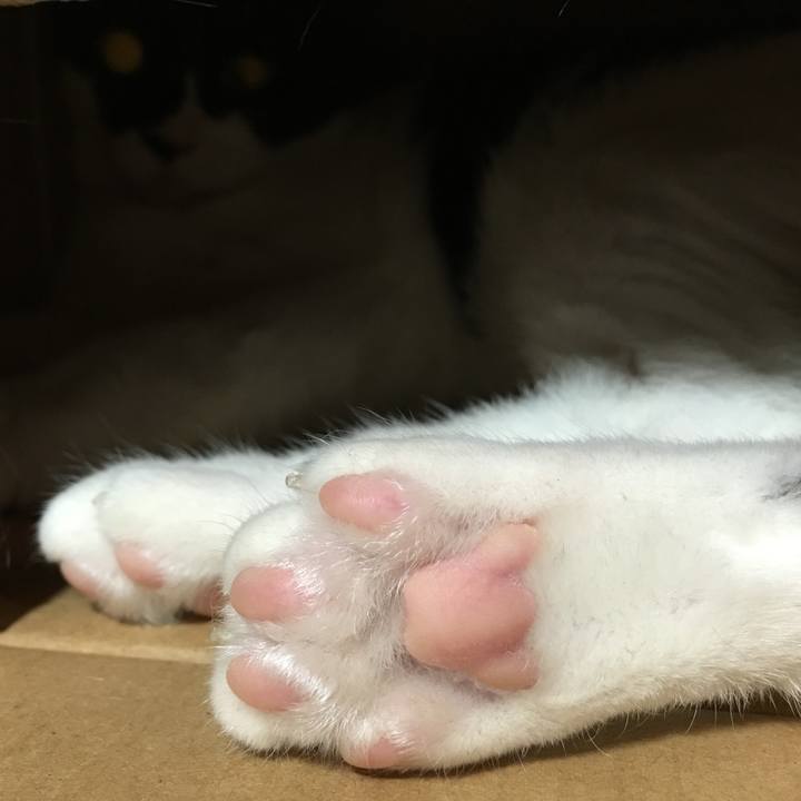 Ee75b613 4ccf 4fdc 8cbb bfa72bfaebe1