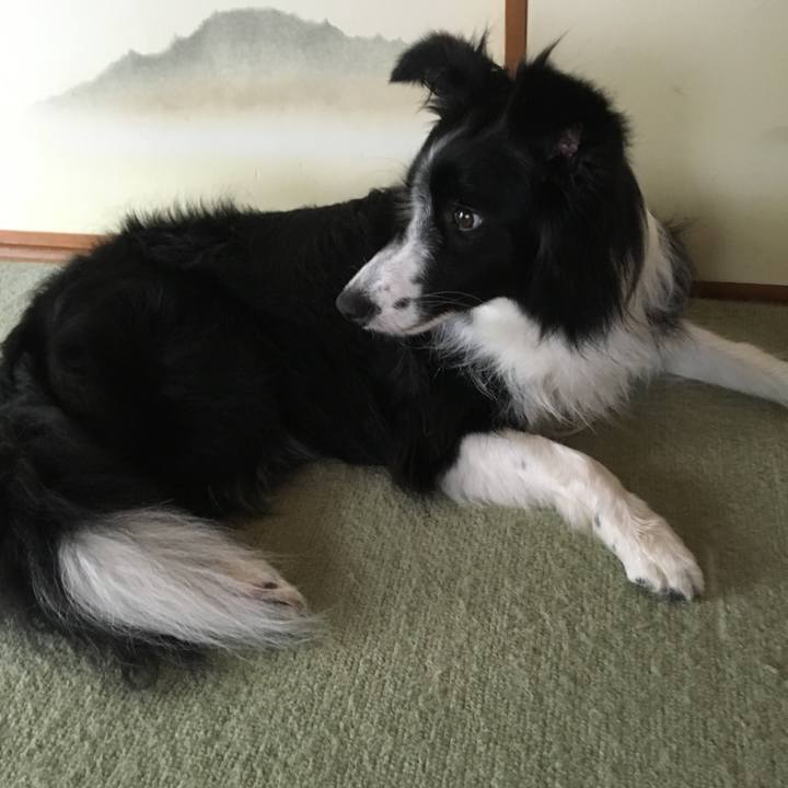 Ee75ed5f 611a 48e3 a300 c53aec0819b0