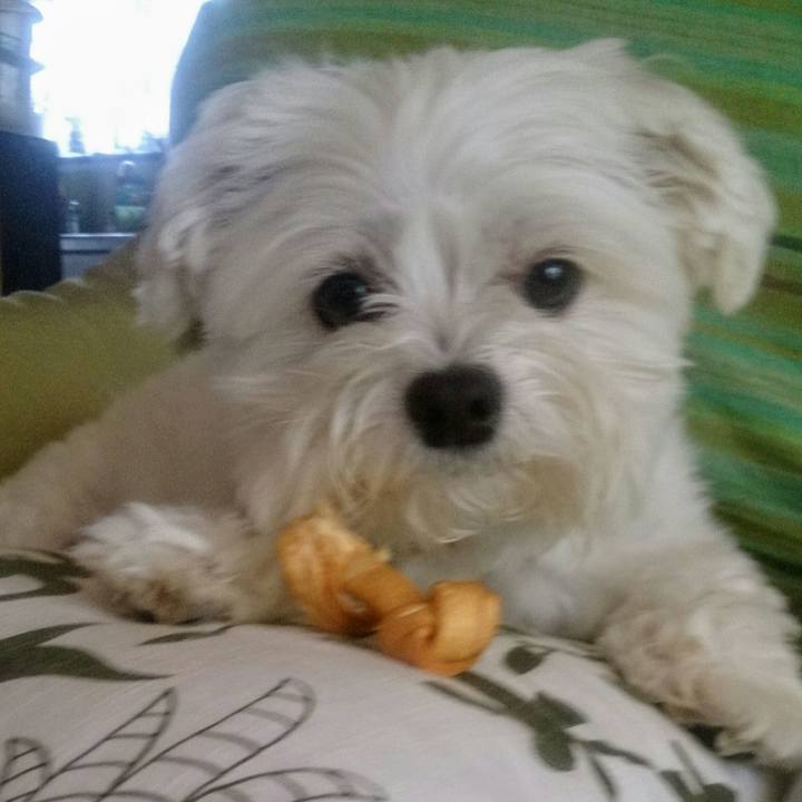 Ee7639b6 bd8a 49d4 8809 3935a2c33551