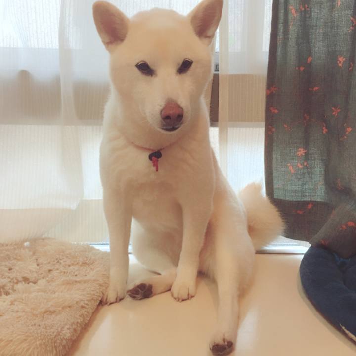 Ee764340 e751 4adc 9604 b5417c9370d7