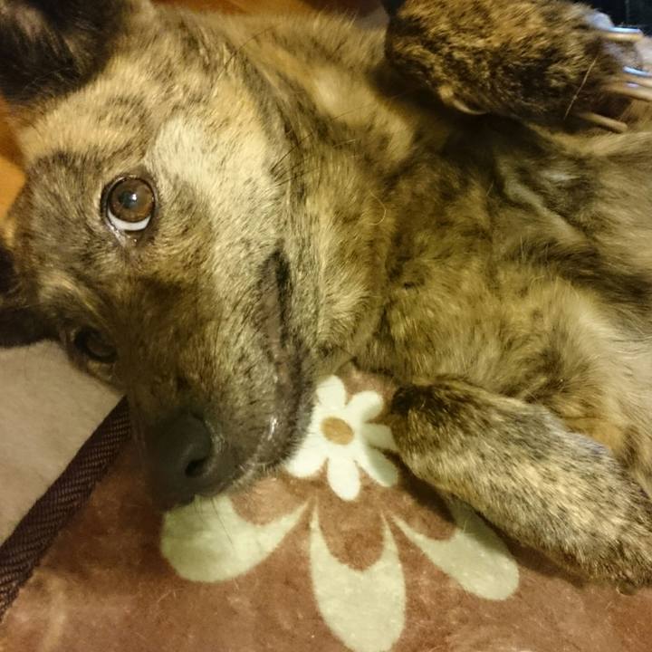 Ee7689a7 6ff7 4e6e 8fe0 faedb8dce7c0