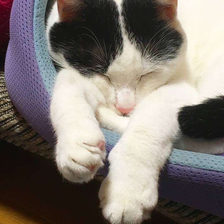 Ee76b863 5ec6 470a a0fc 8d5159296895