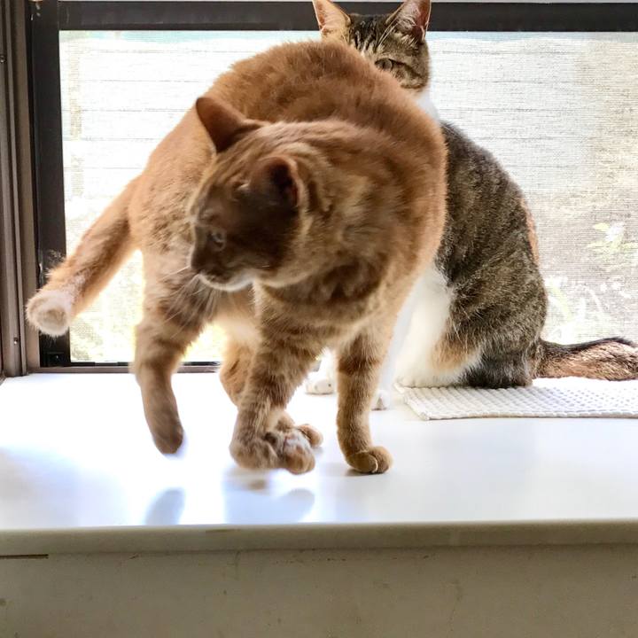 Ee76d1a9 573a 4103 9246 62acd573e015