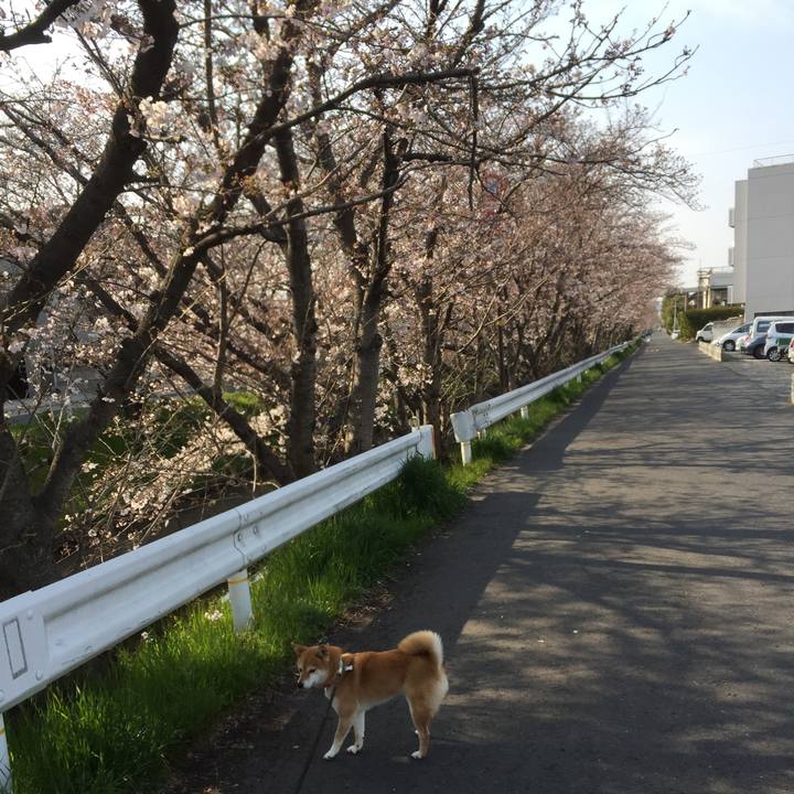 Ee772d70 b9b3 4783 b5c0 a833ea120141