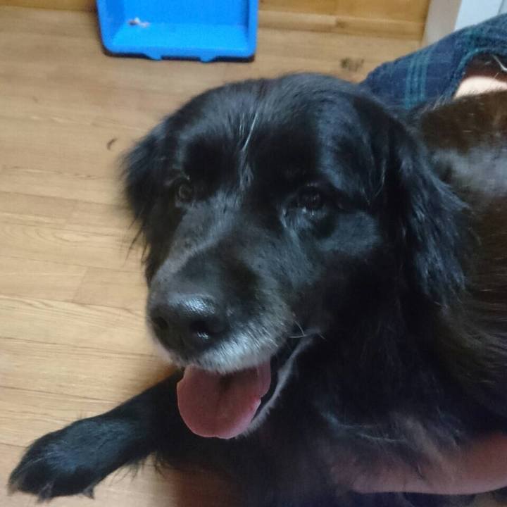 Ee7782d8 4836 43dd 94a0 1a48f5fb2b34