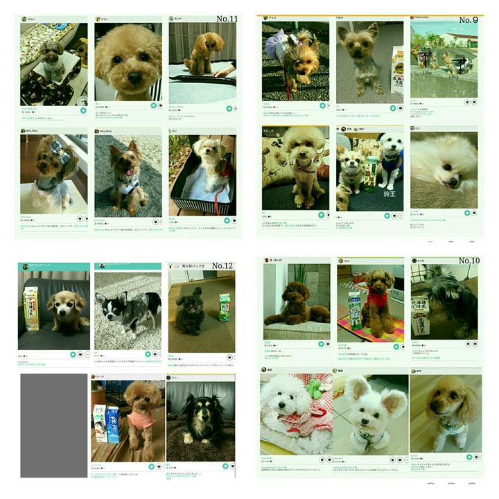 Ee77c47c 11bc 4336 94f2 cdad1c1caa7e