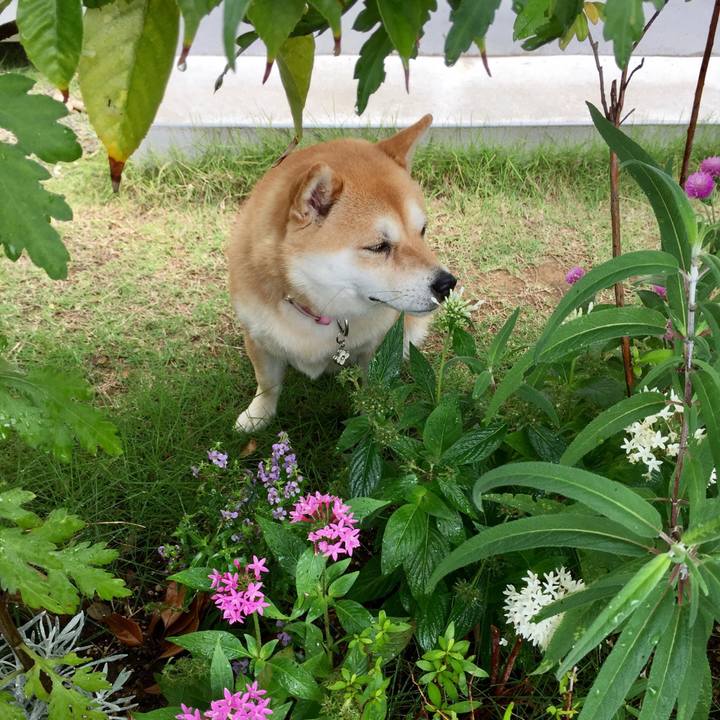 Ee77ed8f 03d9 44c3 8a80 00f7edee26b3