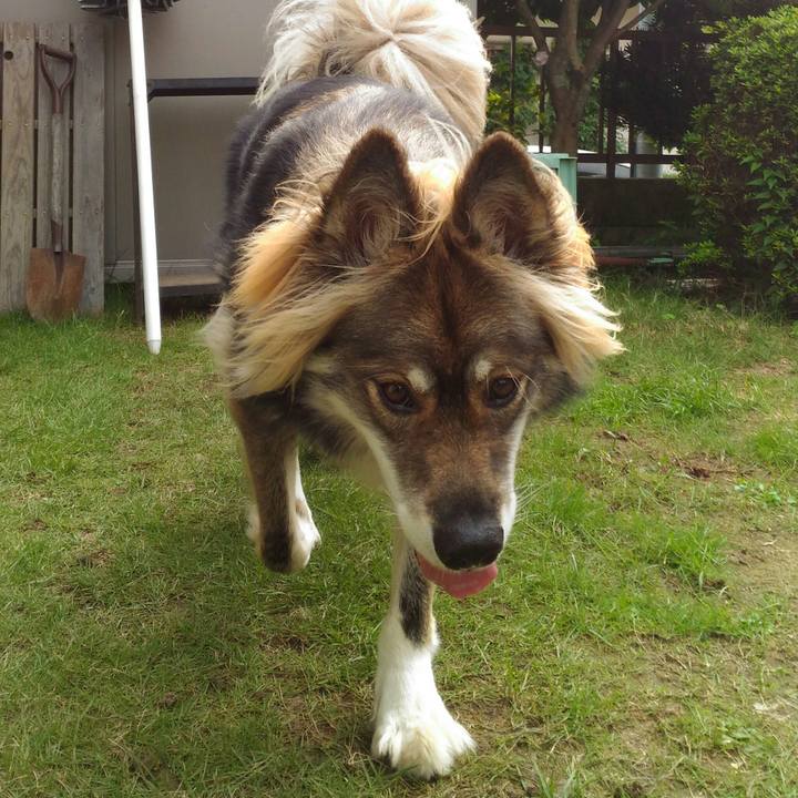 Ee78208a 9e12 46be bf55 275edd7e959c