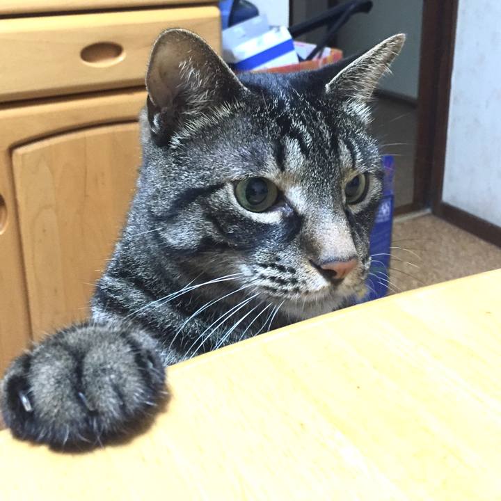 Ee7911e5 ddec 4f63 acc7 5a8aa1f52933