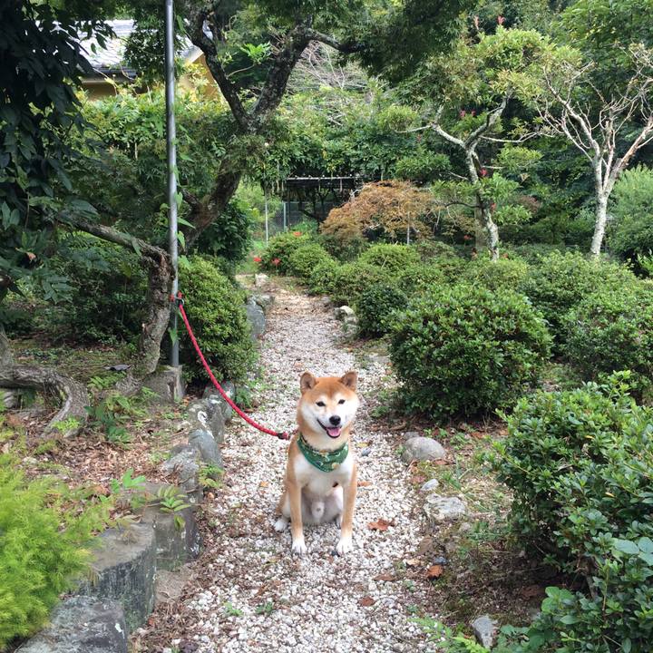 Ee792245 250f 4515 9a1e 0e29ad6f6840