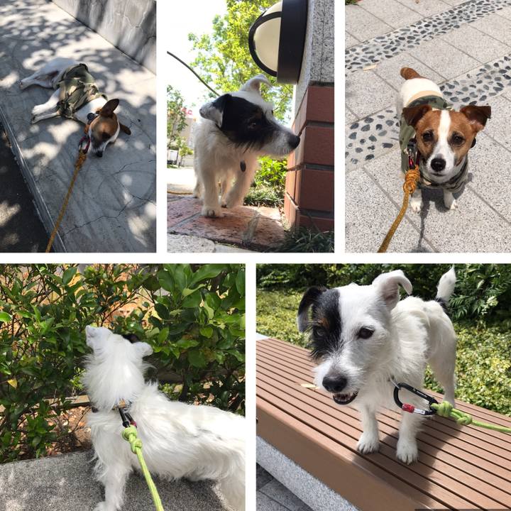 Ee795c17 825b 472d aea4 b968a3f3fa5f