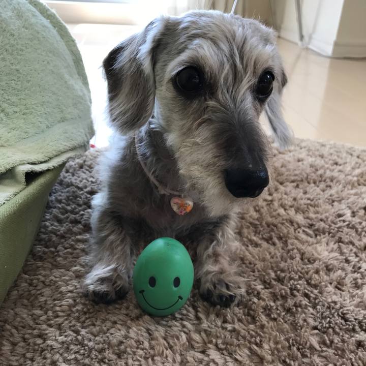 Ee796e28 2b5e 4c0d ad60 780b0784f3f1