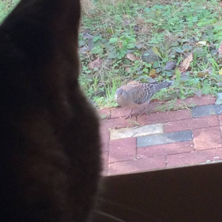 Ee797e87 5e28 4729 9a75 96a1320dc102