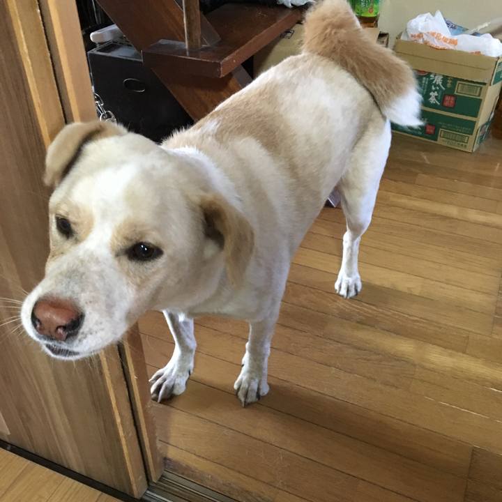 Ee79cefa 7da3 4854 8fdf f8bf6ddd1408