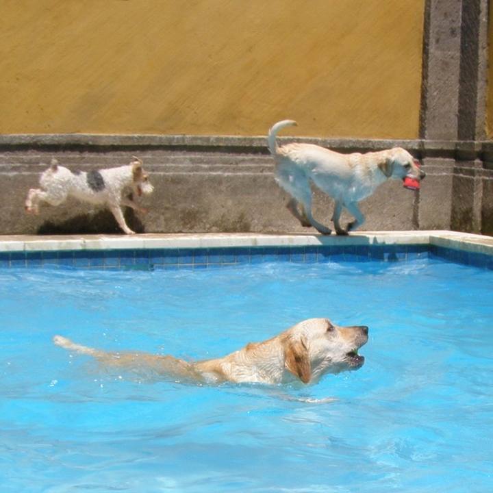 Ee7a7ede 3f63 493b b9ae 8849c8385936