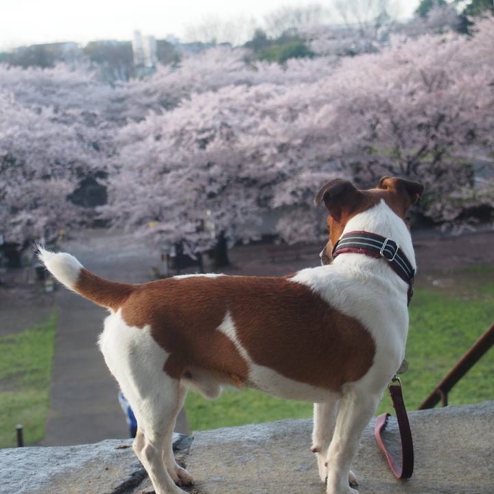 Ee7b5640 e46c 4546 a5ad cc789ec3e0b6