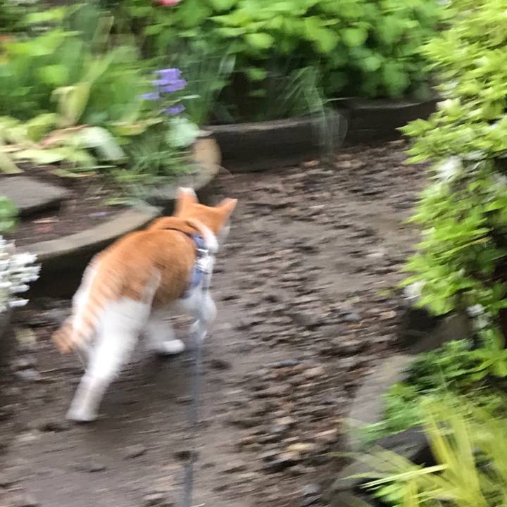 Ee7bfd6f 82f0 432c 86a4 4fbf063fb4e6