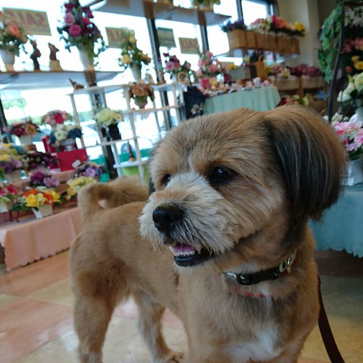 Ee7c08cc 127c 48c3 9182 8240c64d32cc