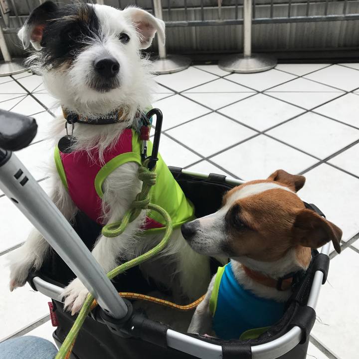 Ee7c314a 0eb7 484c 80ed 25e33fd4cee7