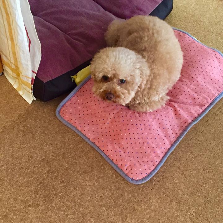 Ee7c3b86 a66b 4222 9311 ae44594c1e77