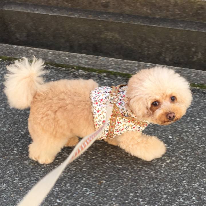 Ee7cbc7a 483b 4abc 8f5c e5db7ff539e3