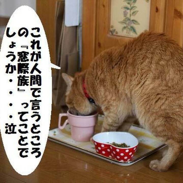 Ee7ddc39 73c5 430a 807c 45a6c797323d