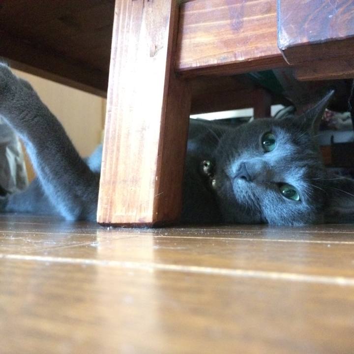 Ee7e9fc6 b1ad 4a24 833a 9ab0534a6eb1