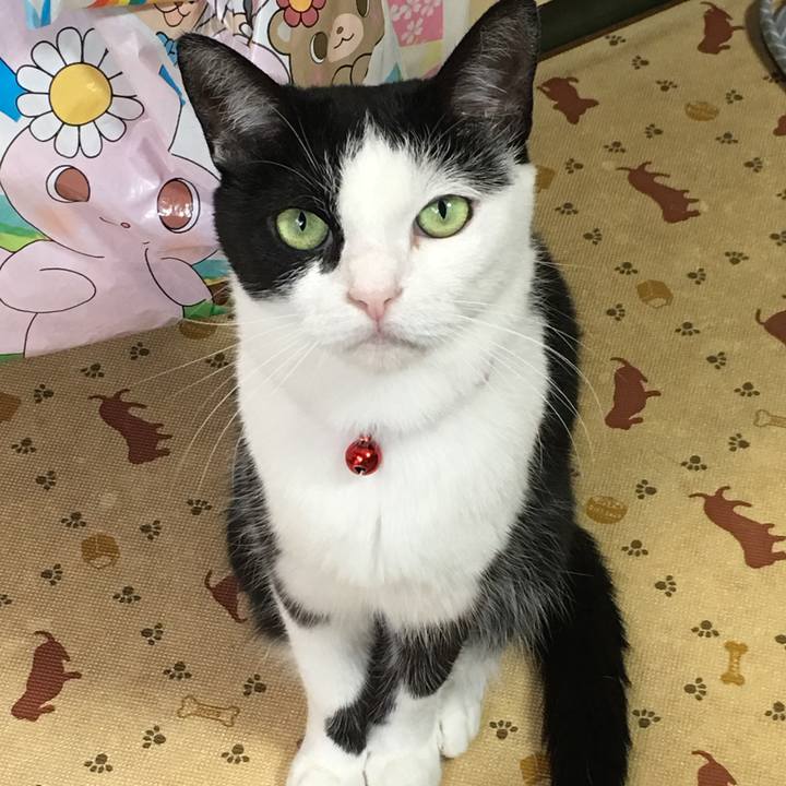 Ee7fa054 e557 462f be79 def3609f4644