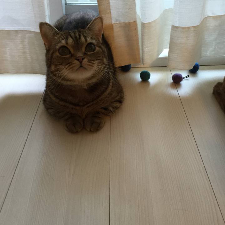 Ee81fe05 775e 4c41 9359 eece8926a183