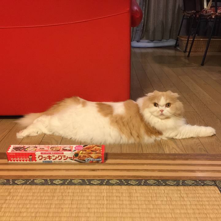 Ee8207a1 a9d2 40a9 b8df 691176426372