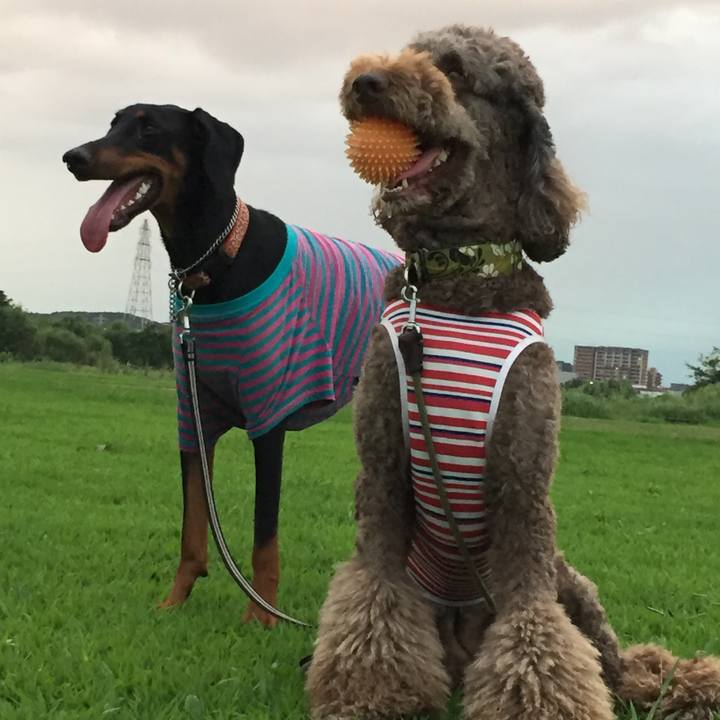 Ee822217 8cba 466f b6c3 9f02d0061540