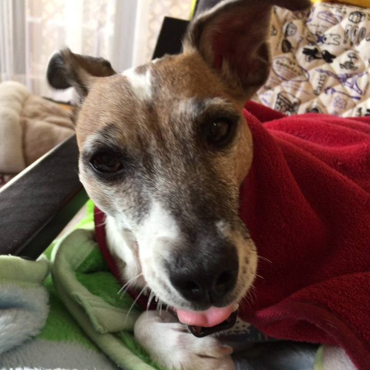 Ee82debb c0cc 4b3c 8ce8 dd7c0f7736fd