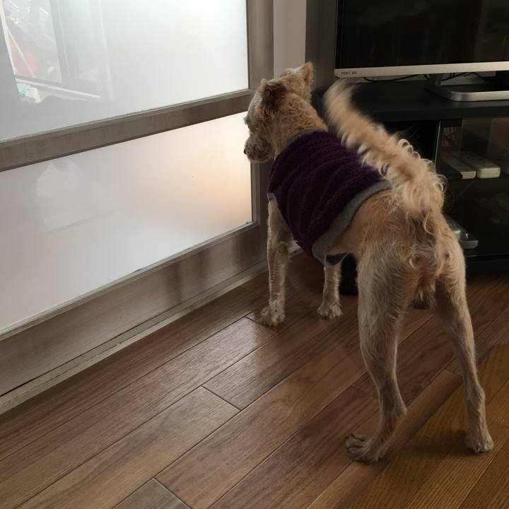 Ee82e693 9881 49a1 af4b a1244815672b