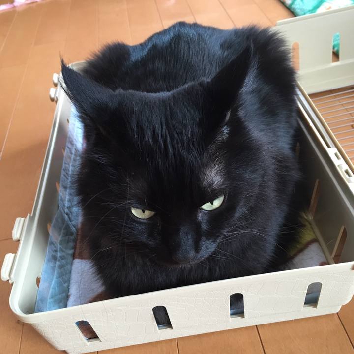 Ee831d25 a6e7 4a6e a284 a207cce1ec08