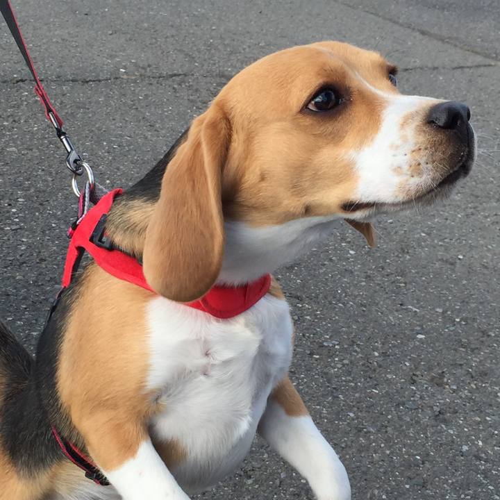 Ee8325d9 b69a 4522 8f5c 72ac0ea376de