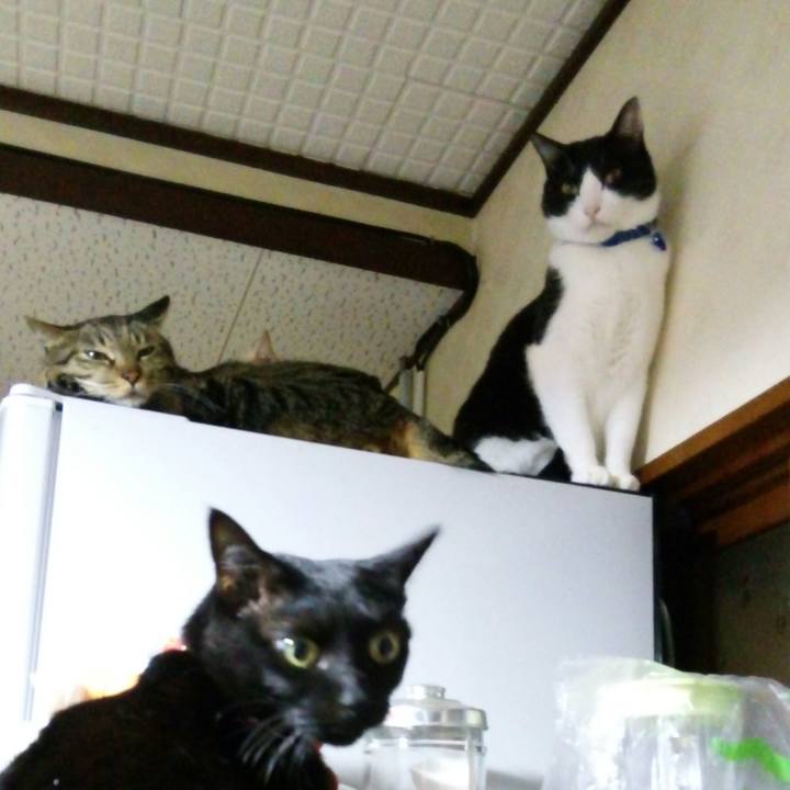 Ee83bb11 14b9 40de a5d2 2e77a32b77b2