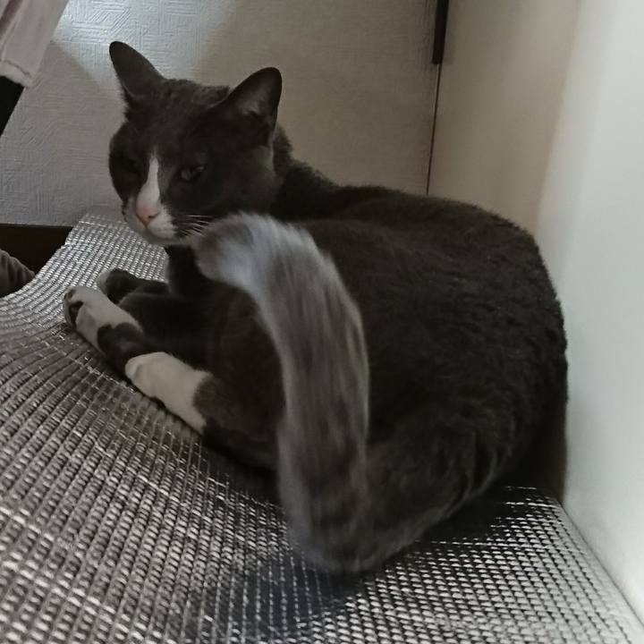 Ee83d4ad 9a18 48b0 aaee beabf946123f